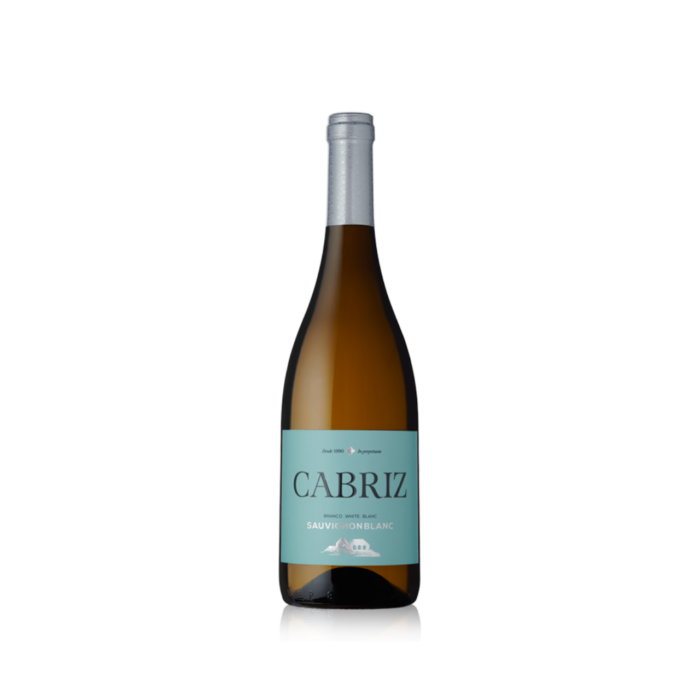 Vinho Dão Cabriz Sauvignon Blanc 750ml